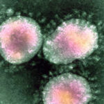 कोविद-19 महामारी को रोकने के लिए आपदा प्रबंधन अधिनियम लागू किया। जानिए यह क्या है?